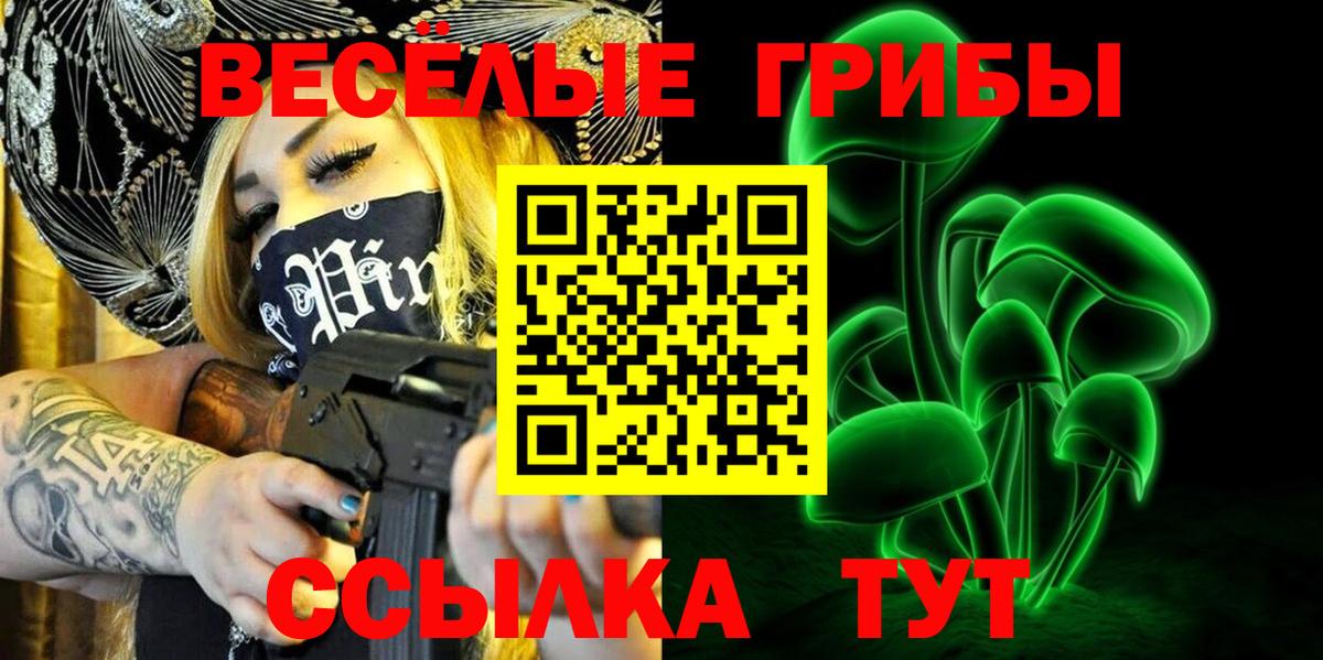 Горячий Ключ  Псилоцибиновые грибы Cubensis  Вход с VPN 