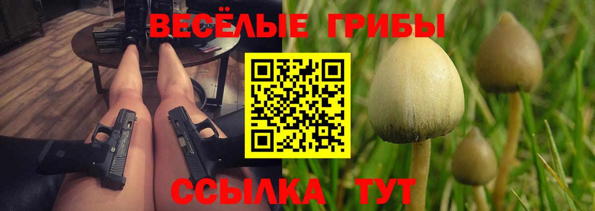 Псилоцибиновые грибы Psilocybe Горячий Ключ